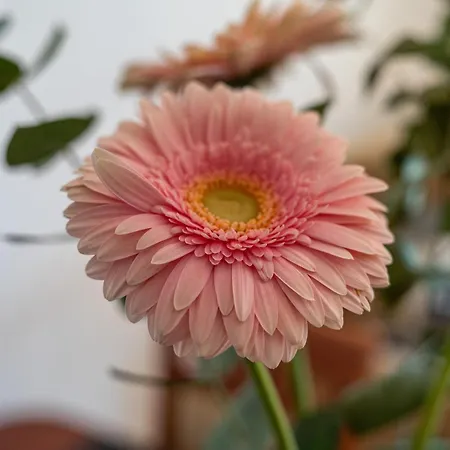 Апартаменты Vista View Краков