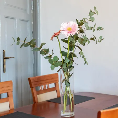 Апартаменты Vista View Краков